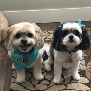 Meet your Posher, Jodi